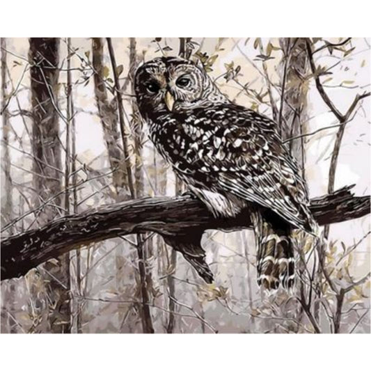 Owl Diy Paint By Numbers Kits ZXQ639 VM80037 - NEEDLEWORK KITS