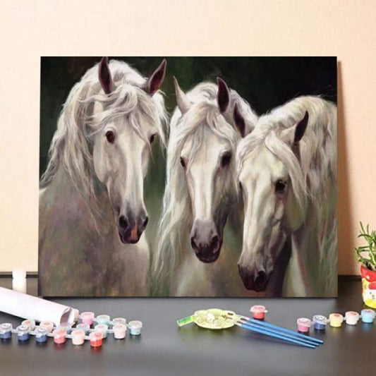 Paint By Numbers Kit – Three White Horses