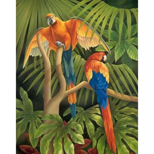 Parrot Diy Paint By Numbers Kits PBN96527 - NEEDLEWORK KITS