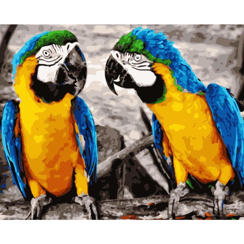 Parrot Diy Paint By Numbers Kits WM-524 - NEEDLEWORK KITS