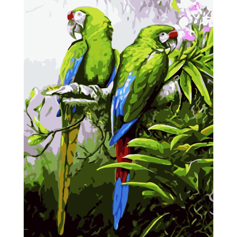 Parrot Diy Paint By Numbers Kits WM-918 - NEEDLEWORK KITS