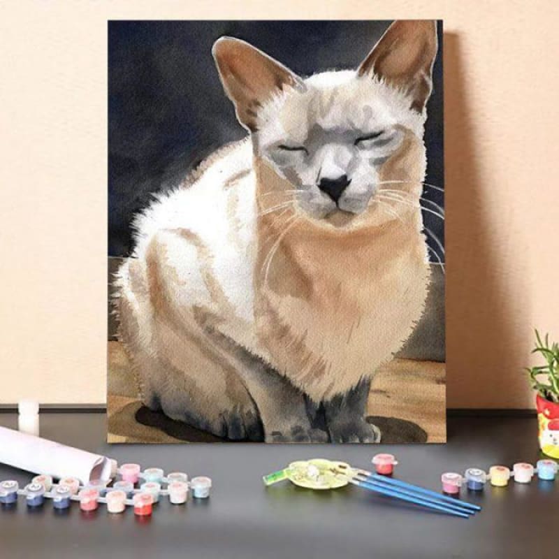 Peace Kitty – Paint By Numbers Kit