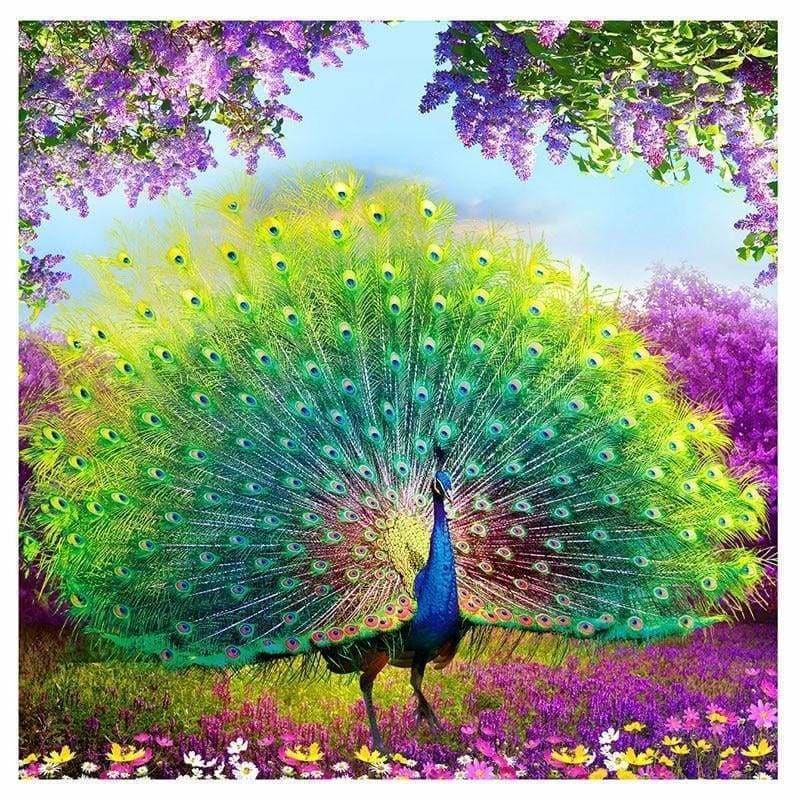 Peacock Diy Paint By Numbers Kits VM30013 - NEEDLEWORK KITS