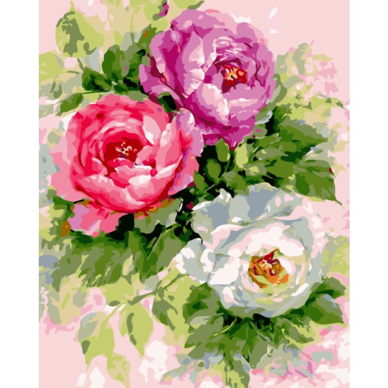 Peony Diy Paint By Numbers Kits SY-4050-067 - NEEDLEWORK KITS