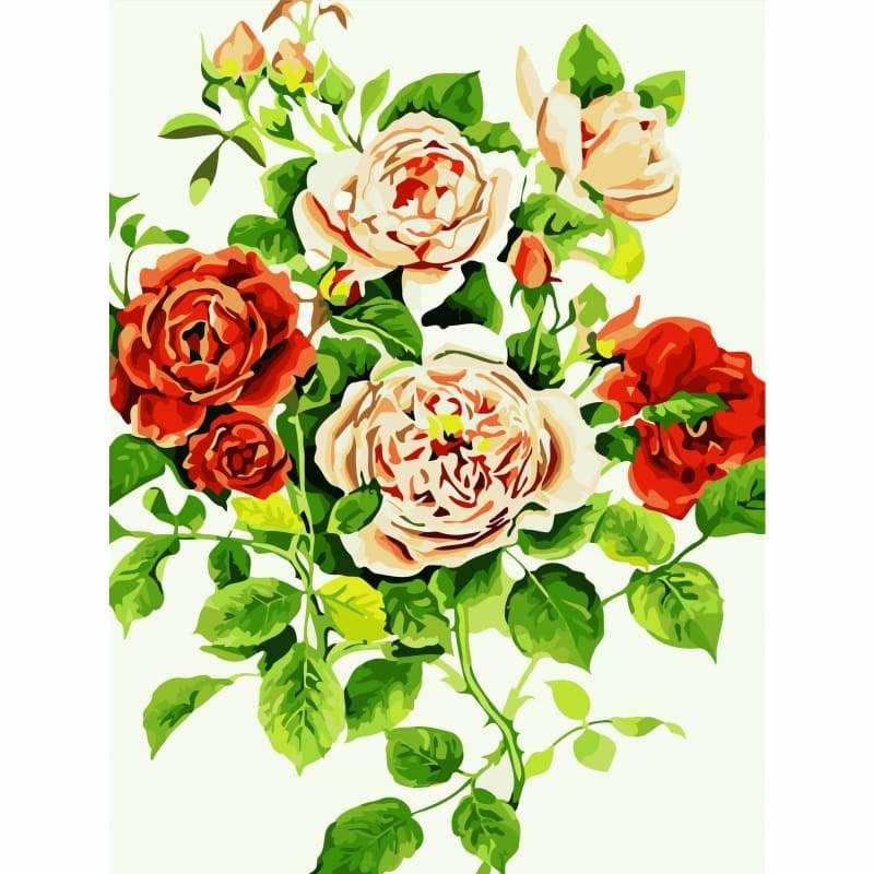 Peony Diy Paint By Numbers Kits YM-4050-180 - NEEDLEWORK KITS