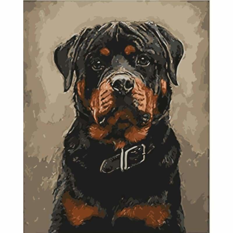 Pet Black Dog Diy Paint By Numbers Kits WM-330 - NEEDLEWORK KITS