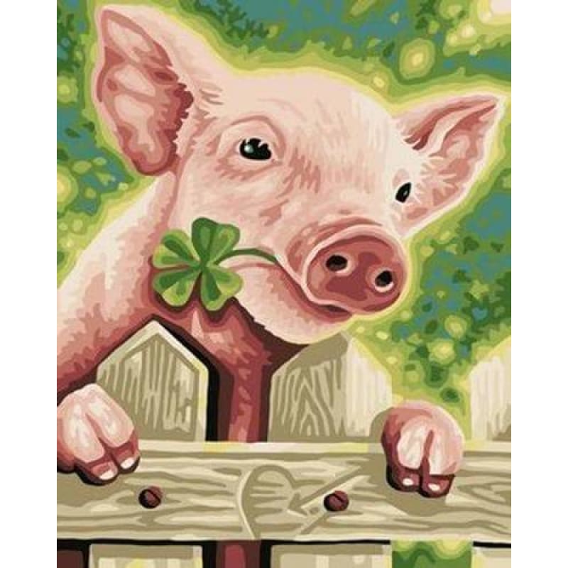 Pig Diy Paint By Numbers Kits ZXB261 - NEEDLEWORK KITS