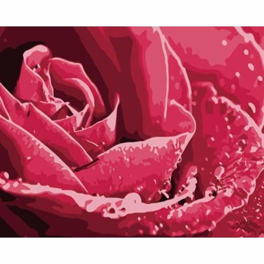 Plant Rose Diy Paint By Numbers Kits ZXZ-014 - NEEDLEWORK KITS