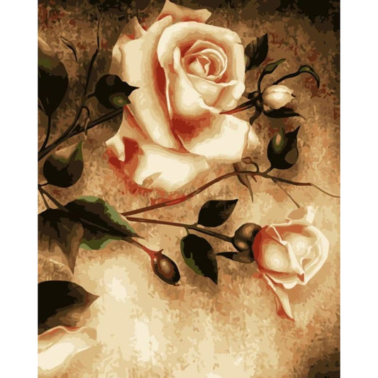 Rose Diy Paint By Numbers Kits WM-1438 - NEEDLEWORK KITS