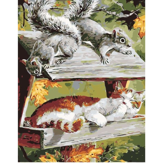 Squirrel Diy Paint by Numbers Kits DIY PBN30105 - NEEDLEWORK KITS