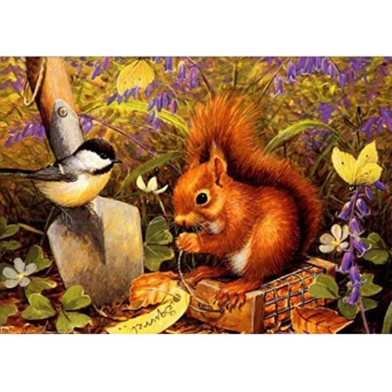 Squirrel Diy Paint by Numbers Kits DIY VM30102 - NEEDLEWORK KITS