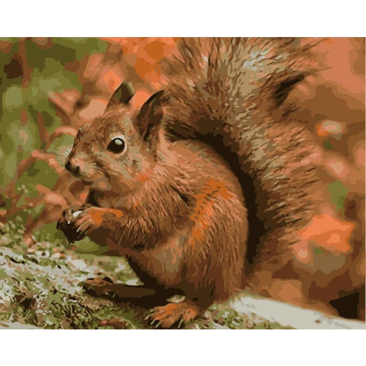 Squirrel Diy Paint By Numbers Kits WM-1115 - NEEDLEWORK KITS