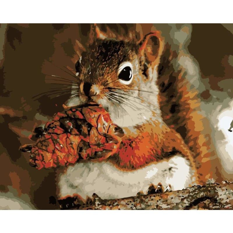 Squirrel Diy Paint By Numbers Kits WM-967 - NEEDLEWORK KITS