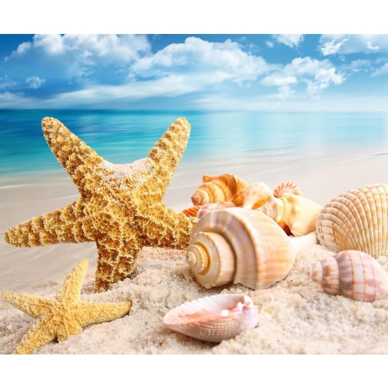 Starfish Beach Summer DIY Paint By Numbers Kits VM30248 - 2