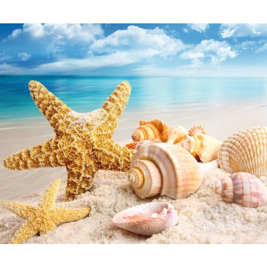 Starfish Diy Paint By Numbers Kits VM30248 - NEEDLEWORK KITS