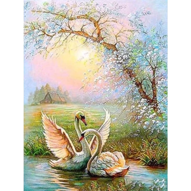 Swan Diy Paint By Numbers Kits PBN95665 - NEEDLEWORK KITS