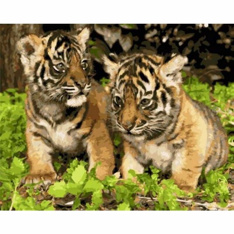 Tiger Diy Paint By Numbers Kits VM95852 - NEEDLEWORK KITS