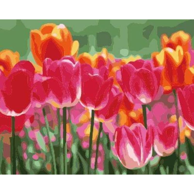 Tulips Diy Paint By Numbers Kits ZXB746 - NEEDLEWORK KITS