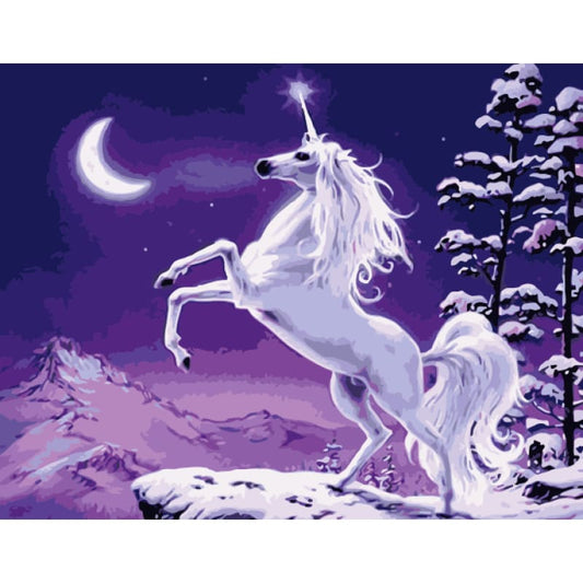 Unicorn Diy Paint By Numbers Kits WM-1633 - NEEDLEWORK KITS