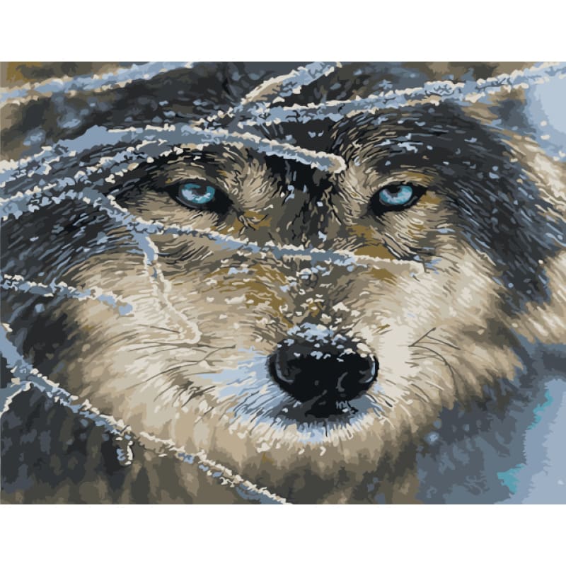 Wolf Diy Paint By Numbers Kits WM-1628 - NEEDLEWORK KITS